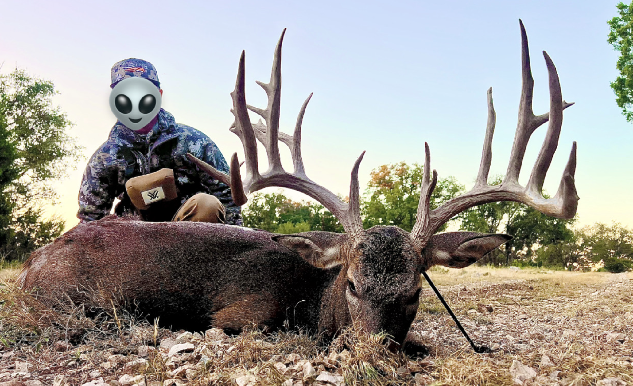 5-Star Whitetail